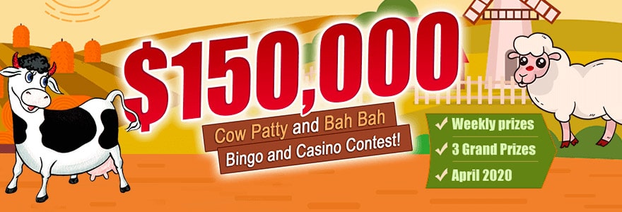Amigo Bingo 150000 Cow Party