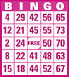 75 Ball Bingo