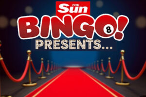 A Fresh Spin on Bingo Nights