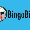 Bingo Billy